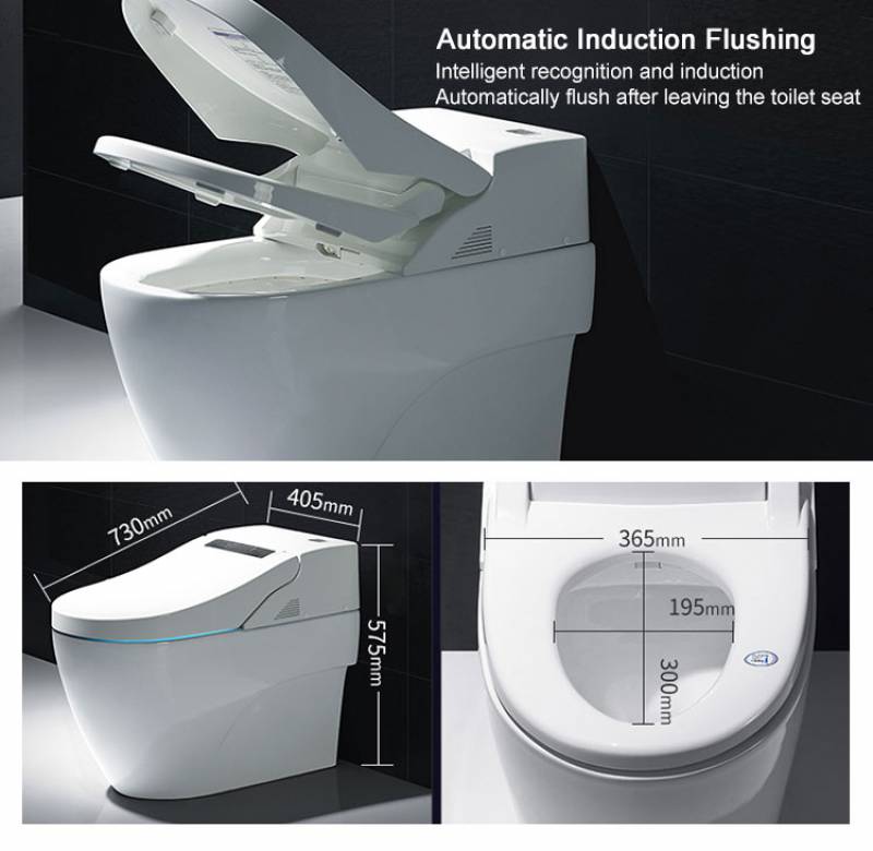 High Quality Chinese Chinese Girl Wc Bidet Toilet Seat Electronic Automatic Intelligent Toilet