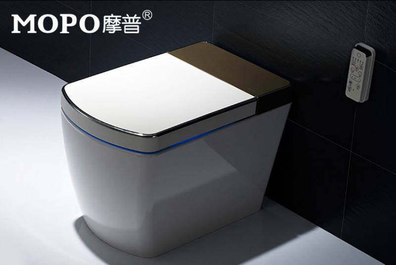 Wholesale Cheap Wc Girls Flushing And Drying Sanitary Ware Smart Intelligent Toilet