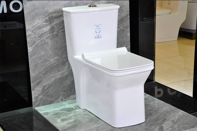 Bathroom Toilet Suite Seat Marine Wc Ceramic Toilet with Quality Craft Toilet Parts