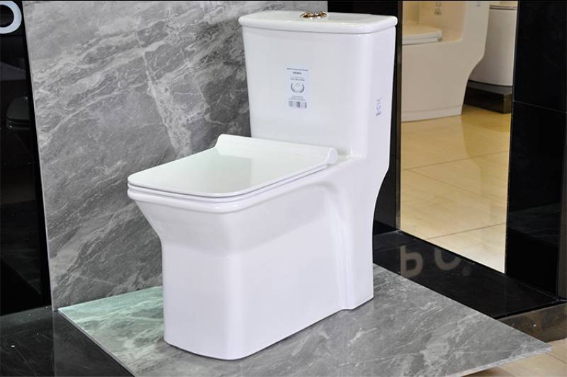 Bathroom Toilet Suite Seat Marine Wc Ceramic Toilet with Quality Craft Toilet Parts