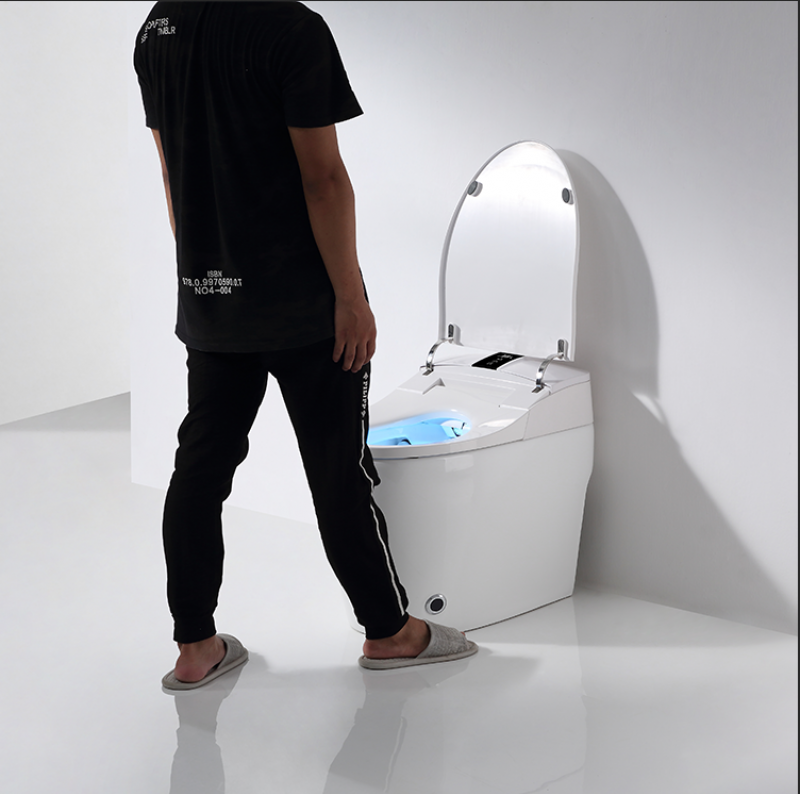 Chinese smart toilet intelligent bathroom wc smart toilet for hotel and home