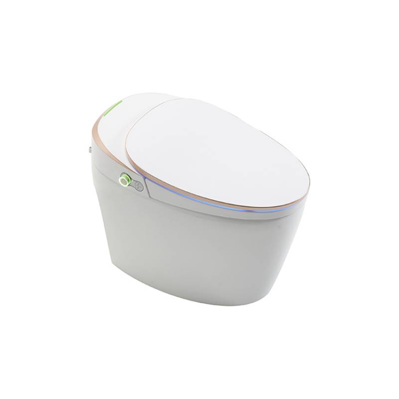 Smart Toilet Intelligent Toilet Seat Bathroom Automatic toilet Washdown WC