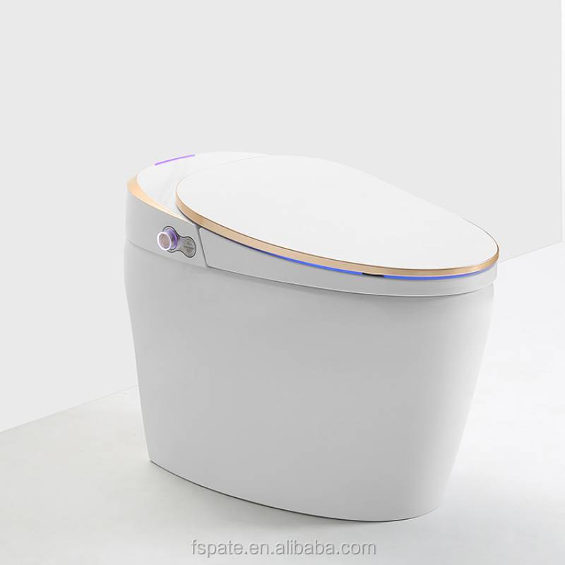 Smart Toilet Intelligent Toilet Seat Bathroom Automatic toilet Washdown WC