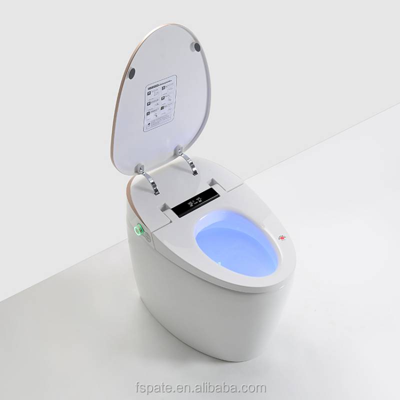 Smart Toilet Intelligent Toilet Seat Bathroom Automatic toilet Washdown WC