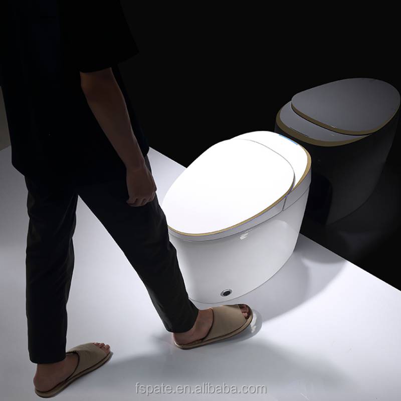 Smart Toilet Intelligent Toilet Seat Bathroom Automatic toilet Washdown WC