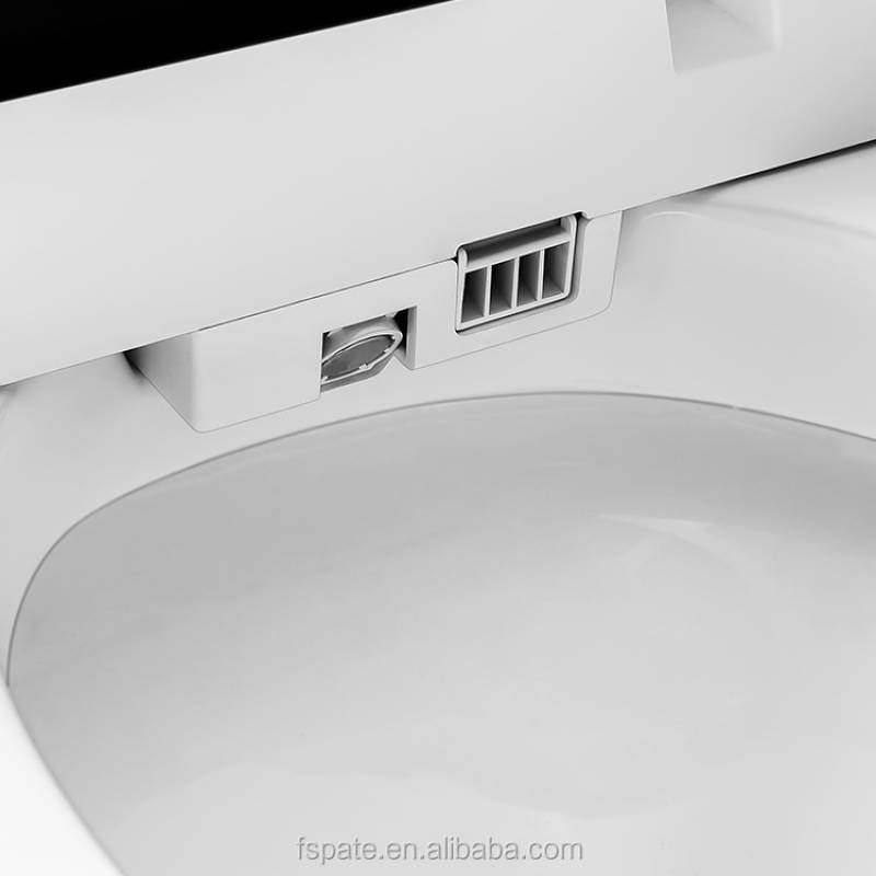 Smart Toilet Intelligent Toilet Seat Bathroom Automatic toilet Washdown WC