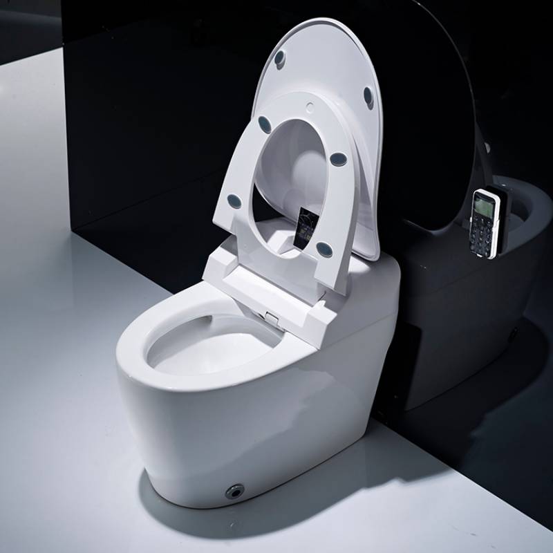 bathroom ceramic wc toilet sanitary ware smart bathroom intelligent toilet