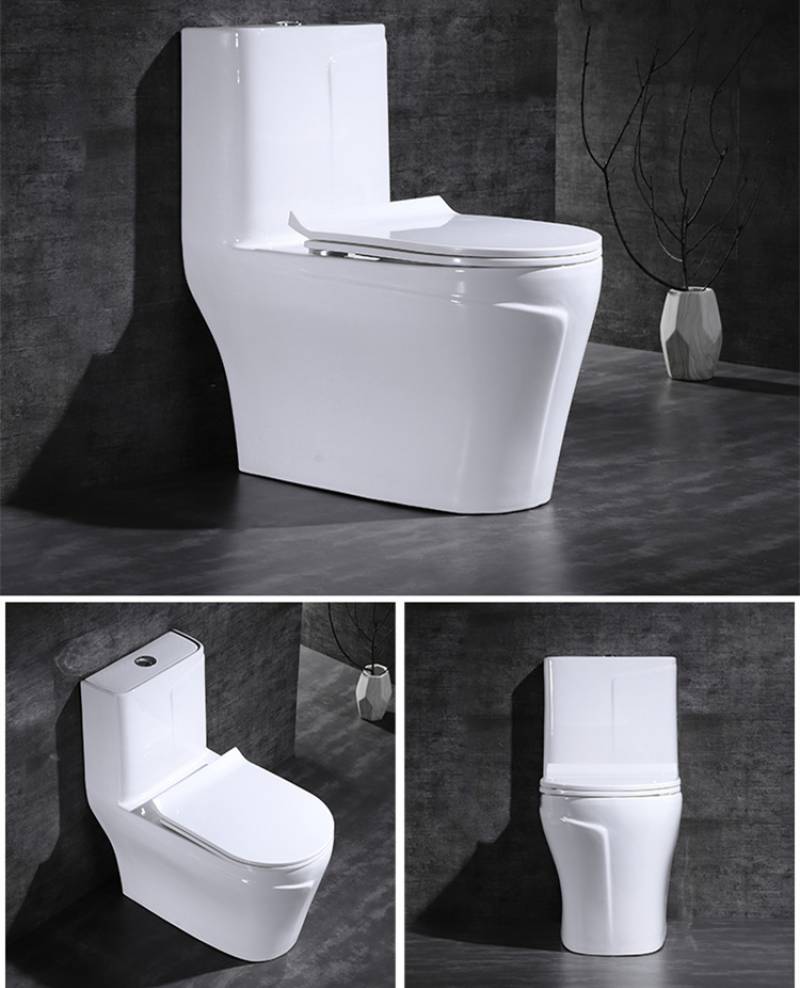 Sanitary ware bathroom white and black toilet seat