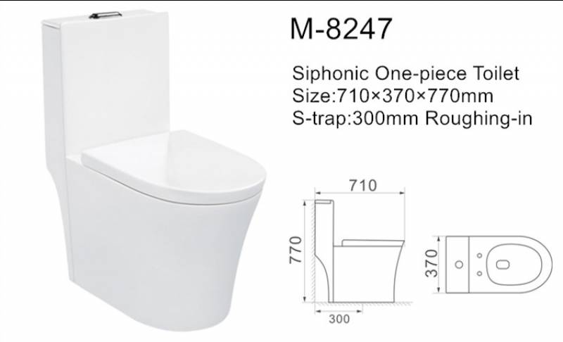 Water saving ceramic one piece toilets with flushing system