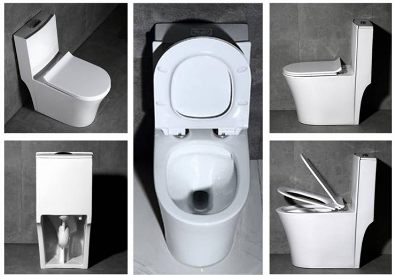 Water saving ceramic one piece toilets with flushing system