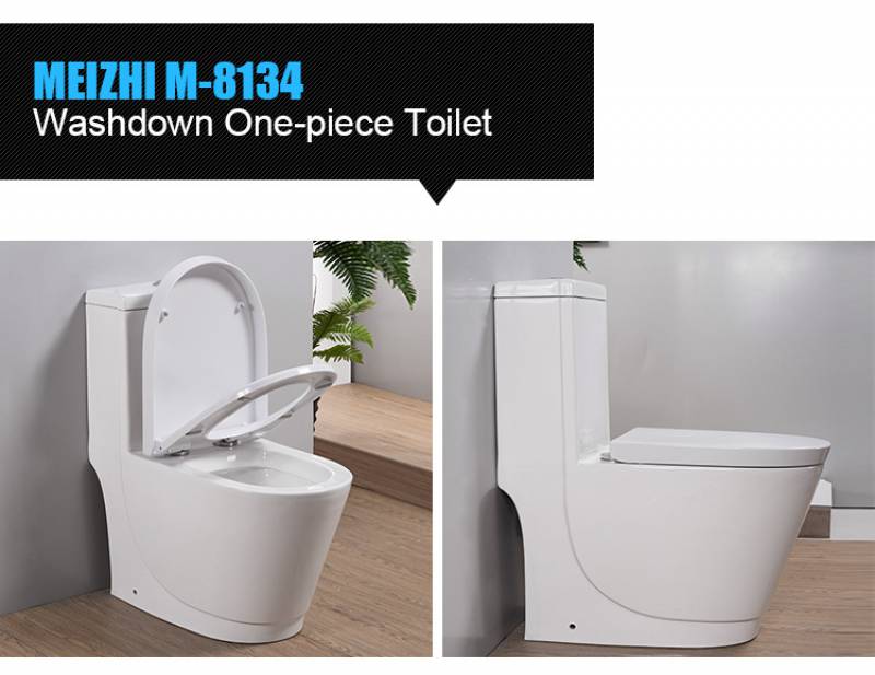 Sanitary ware novelty aqua color bathroom squat toilet seat