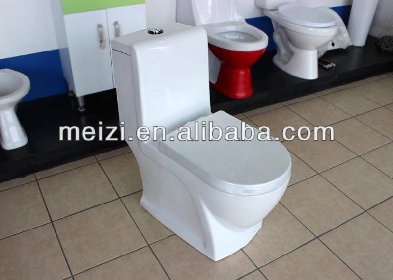 Sanitary ware one piece washdown toilet with bidet