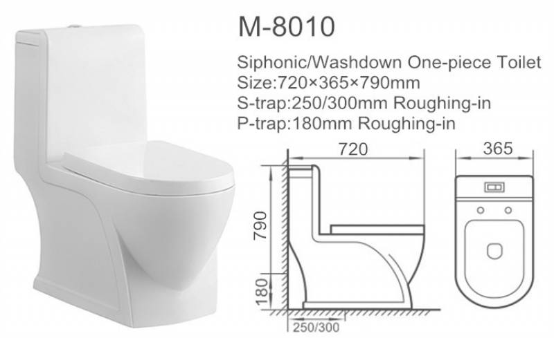 Sanitary ware one piece washdown toilet with bidet