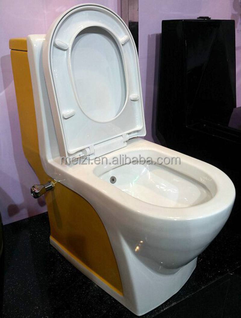 Sanitary ware one piece washdown toilet with bidet