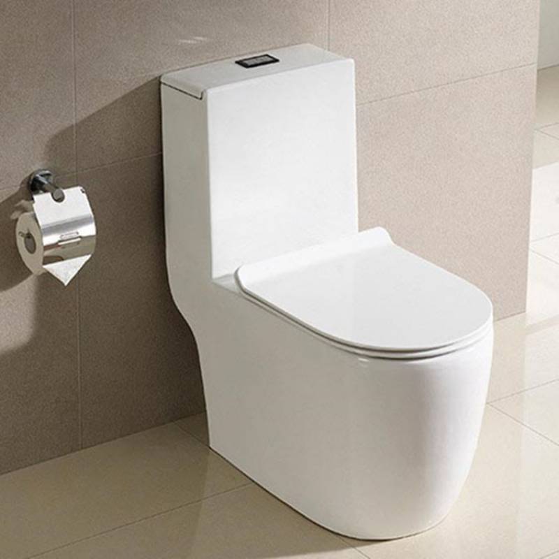 Water Ridge One Piece Dual Flush Toilet