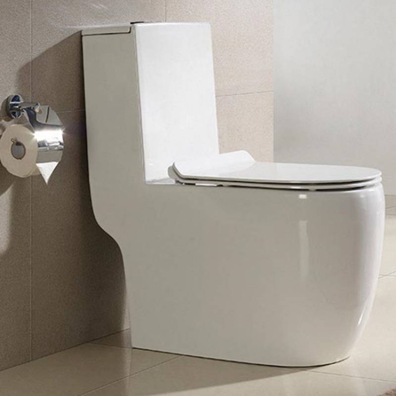 Water Ridge One Piece Dual Flush Toilet