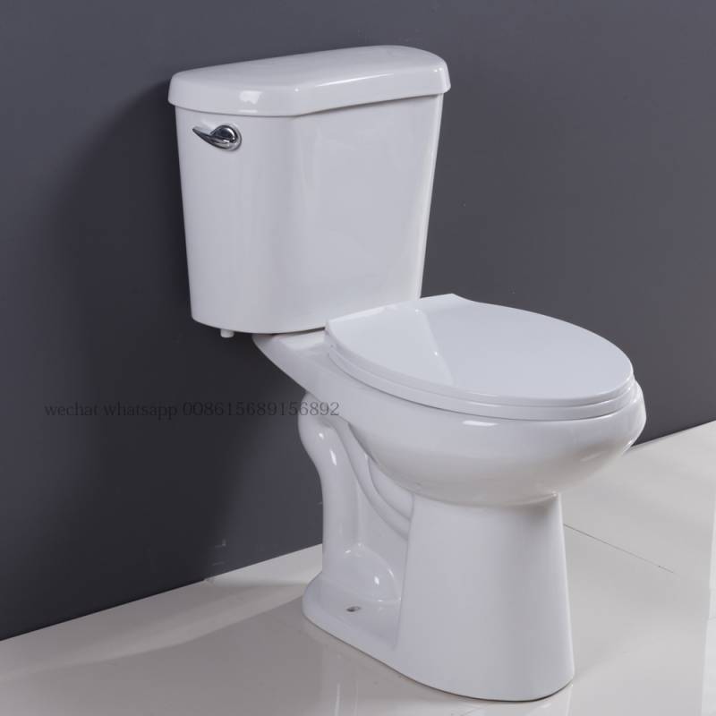 SR-173AT  chinese ceramic wc toilet   brand UPC flush system 008615689156892