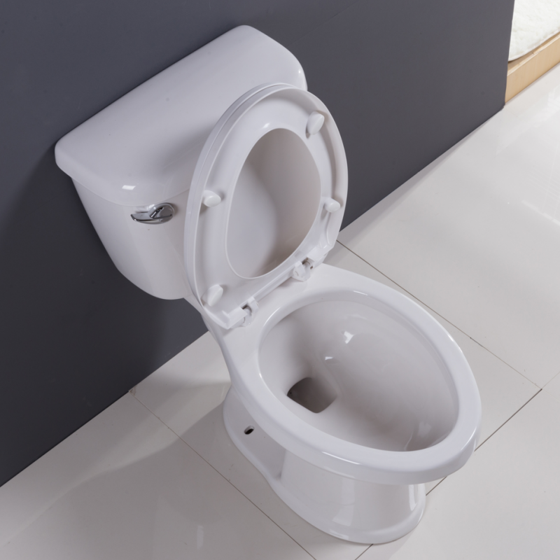 Elegant Watermark WC Toilet Floor Stand Bathroom One Piece Toilet