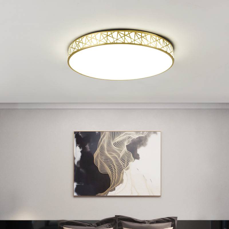 smart wifi ceiling light round dimming 24W international mainstream smart speaker led ceiling light