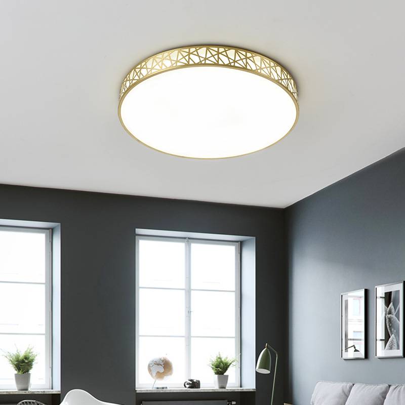 smart wifi ceiling light round dimming 24W international mainstream smart speaker led ceiling light