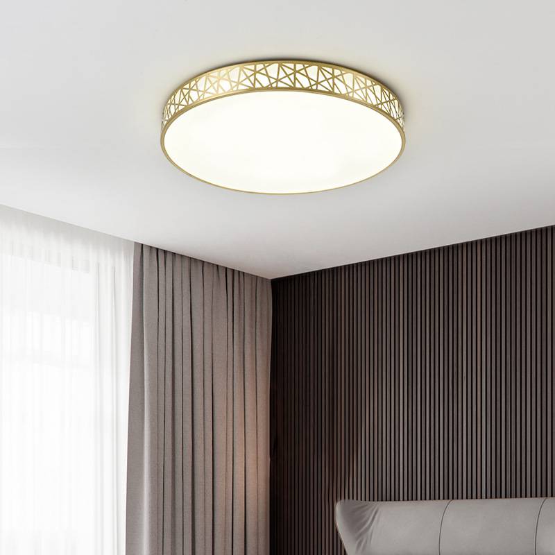 smart wifi ceiling light round dimming 24W international mainstream smart speaker led ceiling light