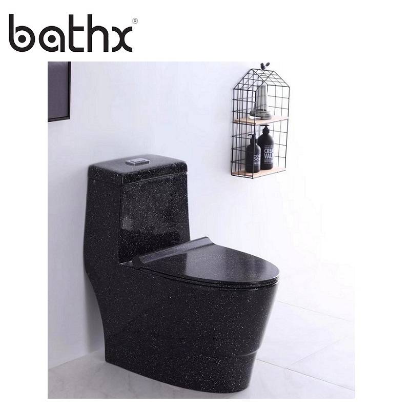 Modern Style Sanitary Ware Ceramic Floor Mounted Dual Flush Siphonic One Piece Black Toilet