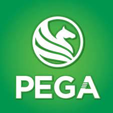 Pega
