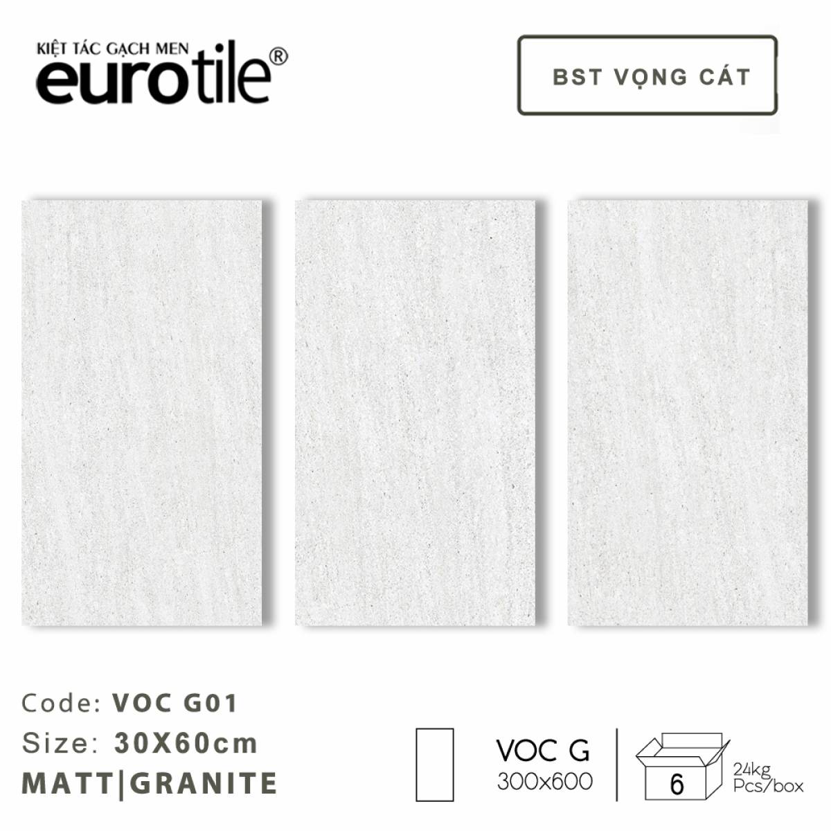 Gạch ốp lát vân xi măng Eurotile BST Vọng Cát 300*600mm VOC G01