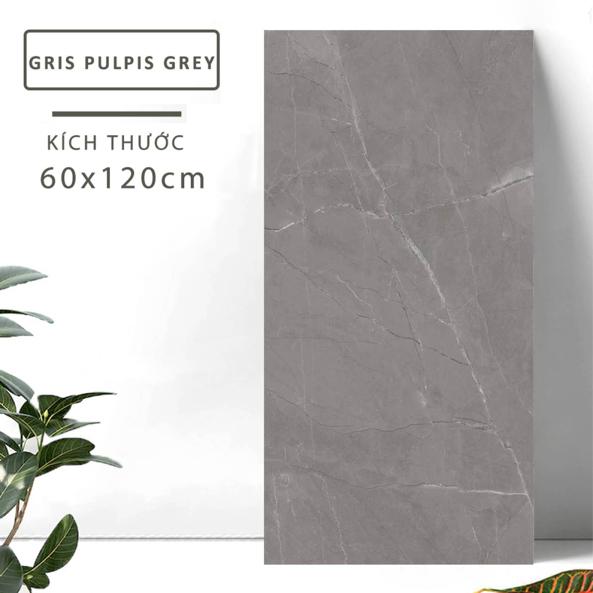 Gạch khổ lớn nhập khẩu Ấn Độ men matt 60*120 cm GRIS PULPIS GREY