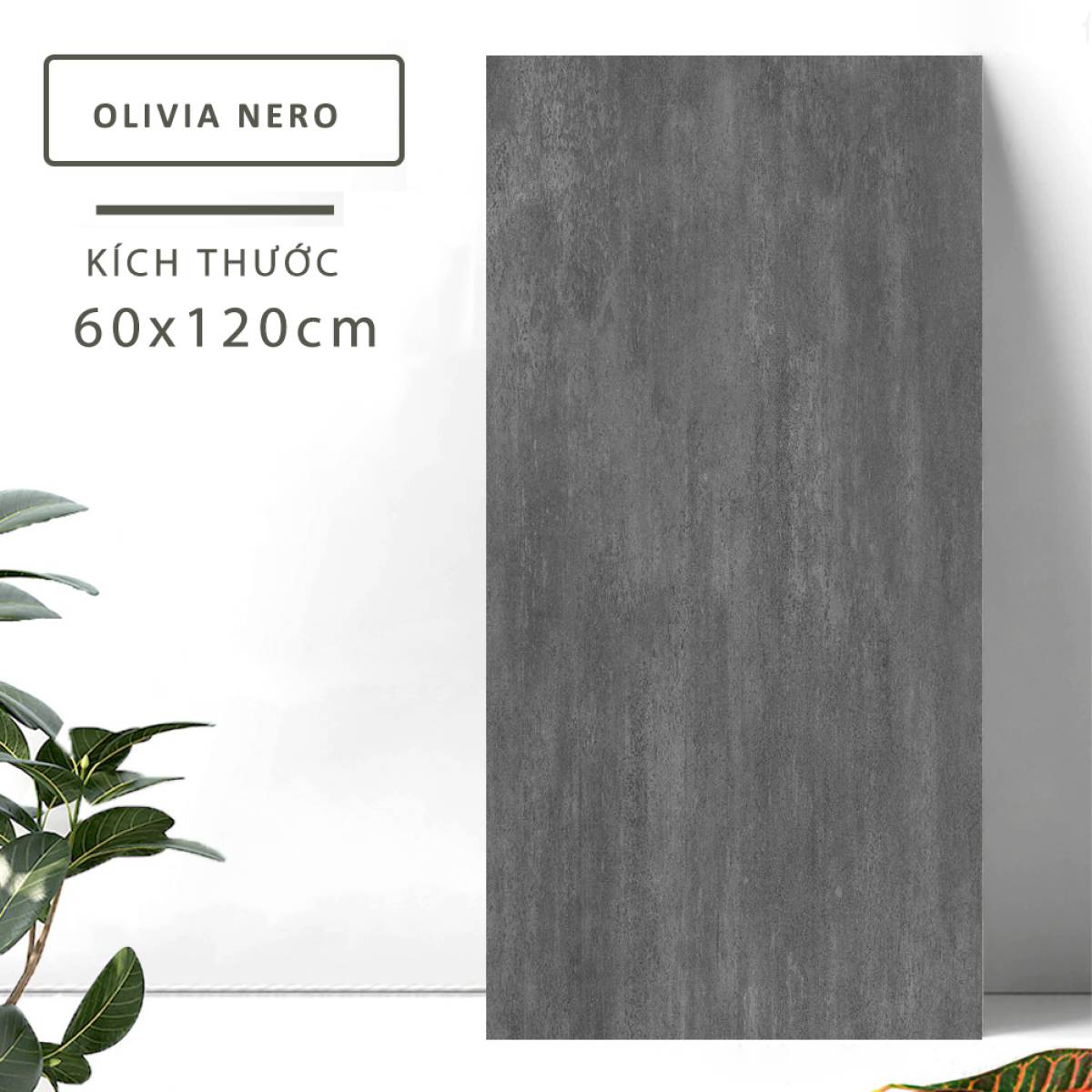 Gạch khổ lớn nhập khẩu Ấn Độ men matt 60*120 cm OLIVIA NERO