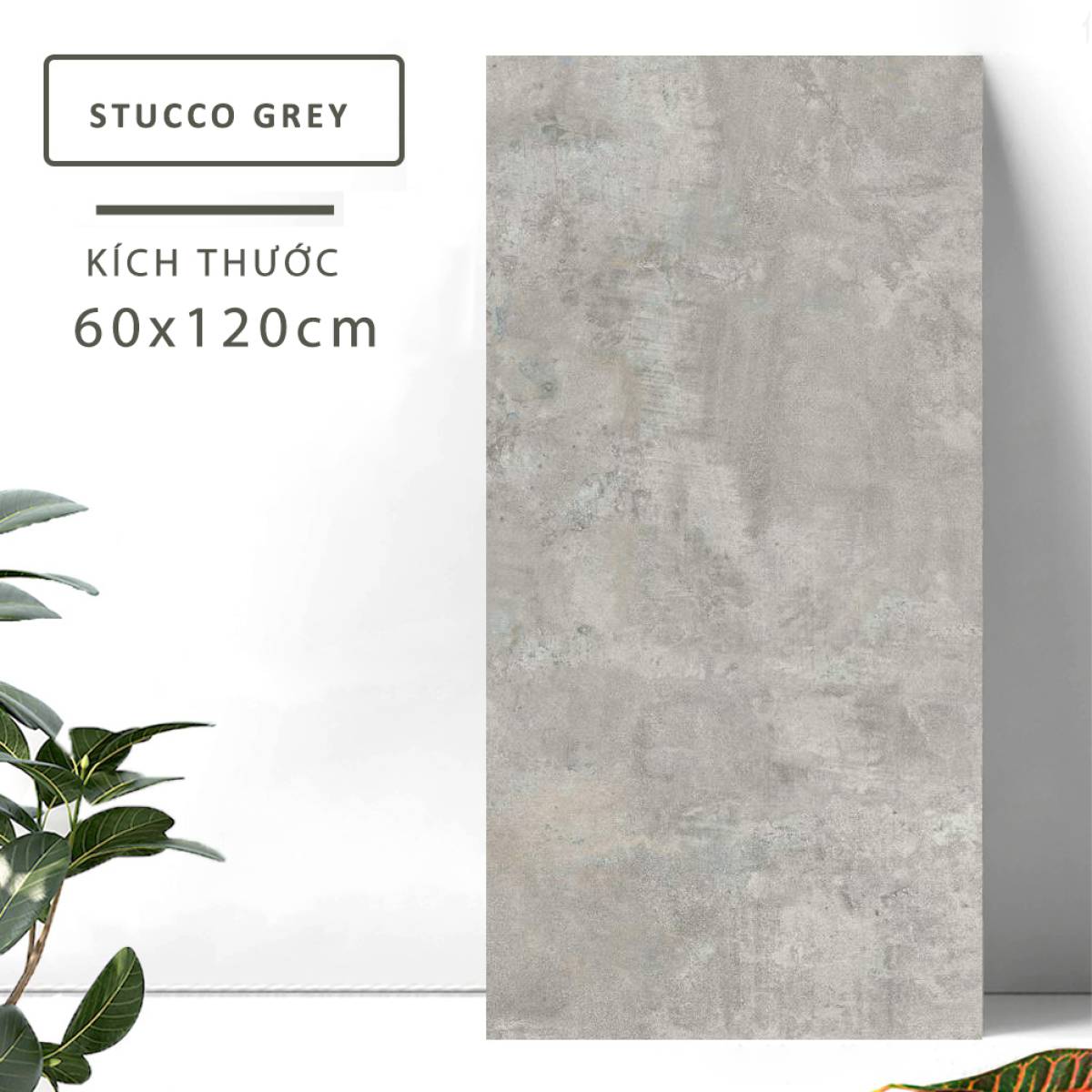 Stucco Grey