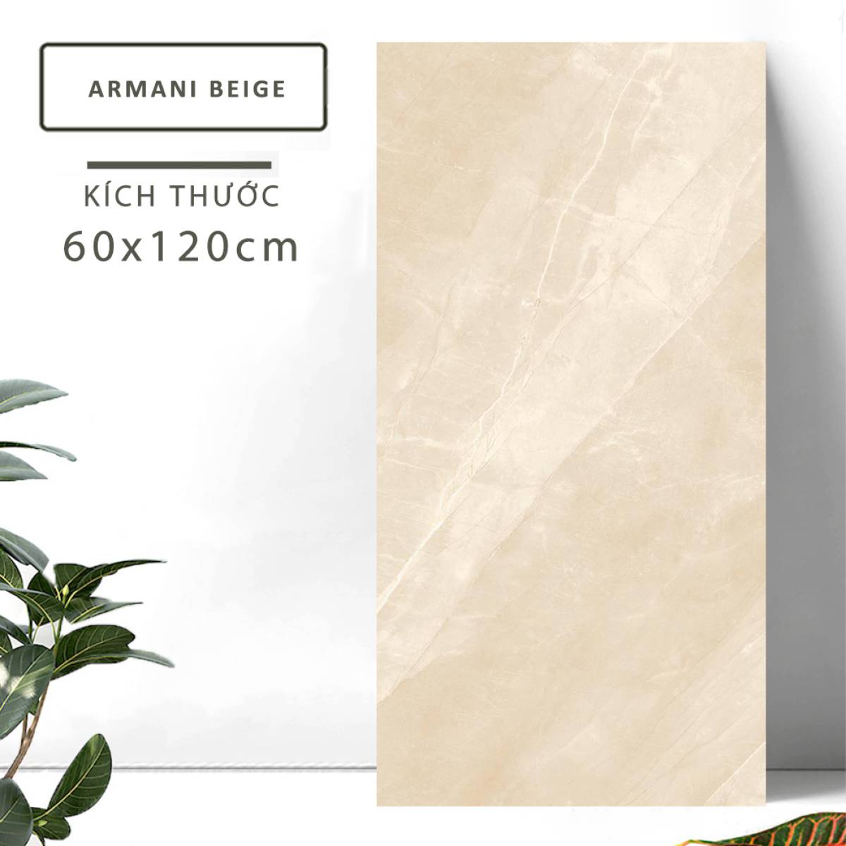 Đặc điểm của Gạch ốp tường Ấn Độ men bóng 600x1200mm ARMANI BEIGE