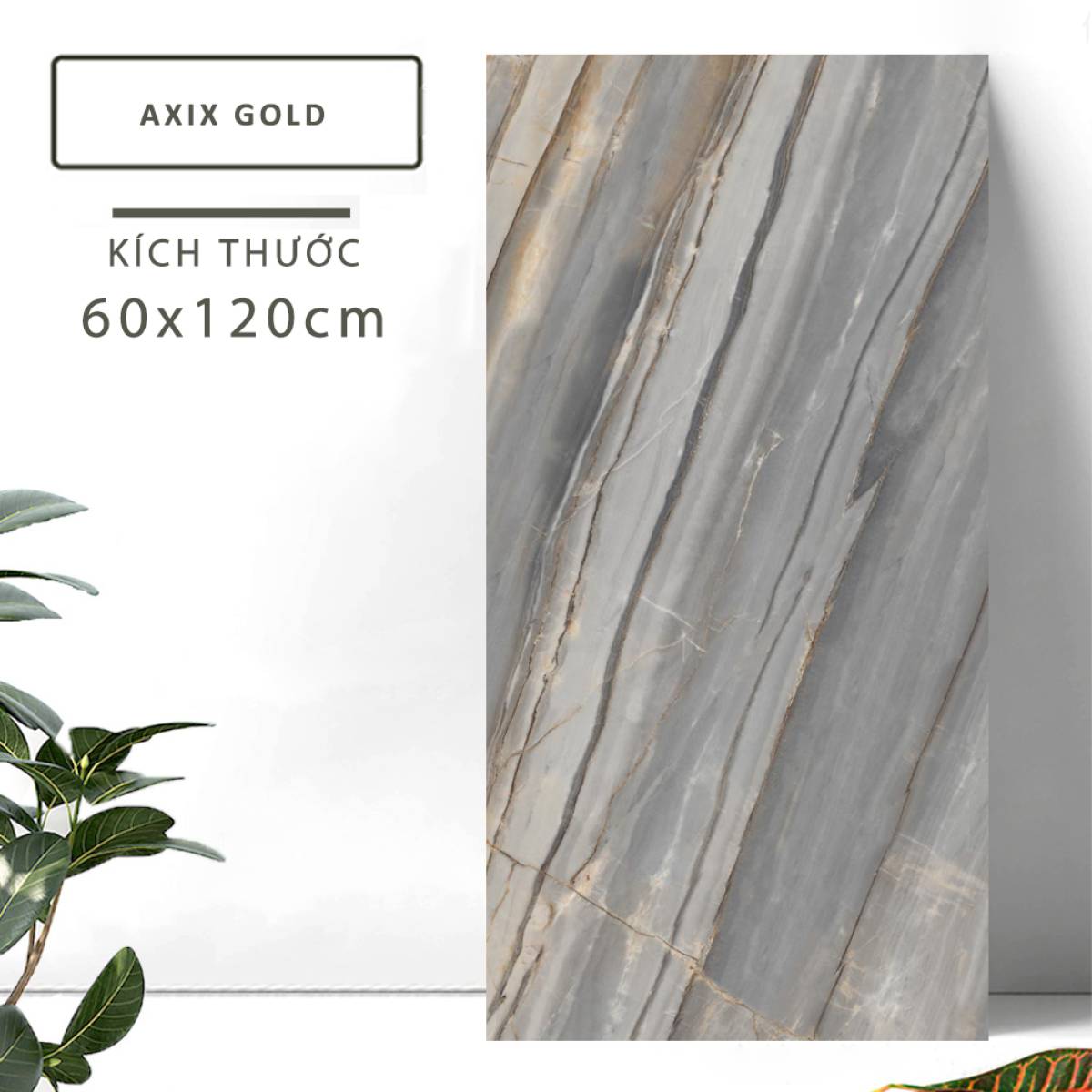 Đặc điểm của Gạch lát nền Ấn Độ men bóng 600x1200mm AXIX GOLD