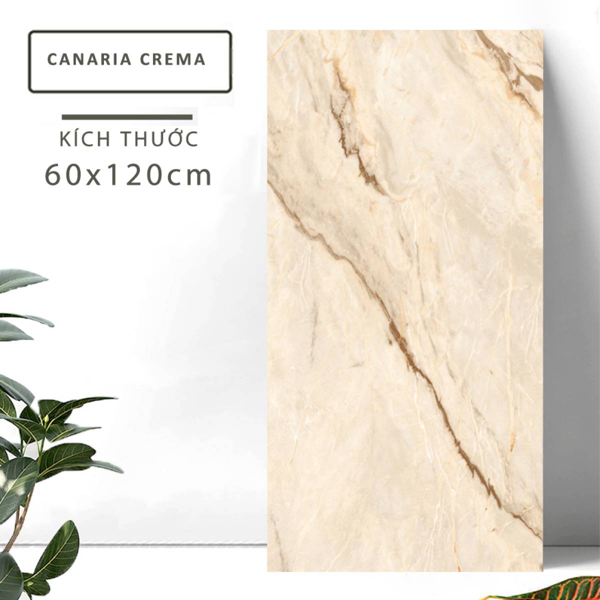 Đặc điểm của Gạch lát nền Ấn Độ men bóng 600x1200mm CANARIA CREMA