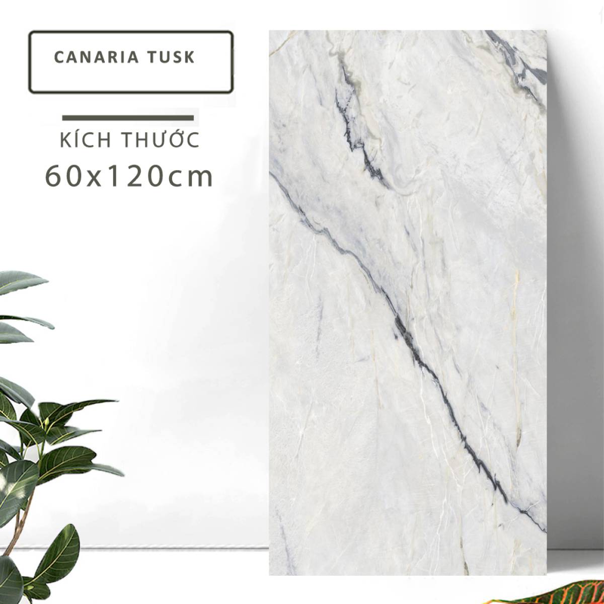 Đặc điểm của Gạch lát nền Ấn Độ men bóng 600x1200mm CANARIA TUSK