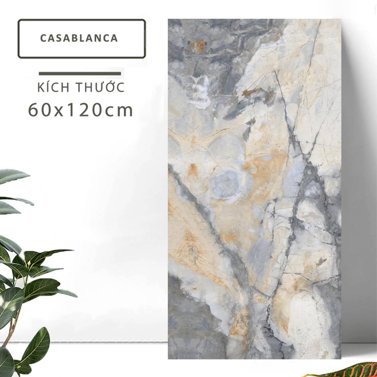 Đặc điểm của Gạch lát nền Ấn Độ men bóng 600x1200mm CASABLANCA