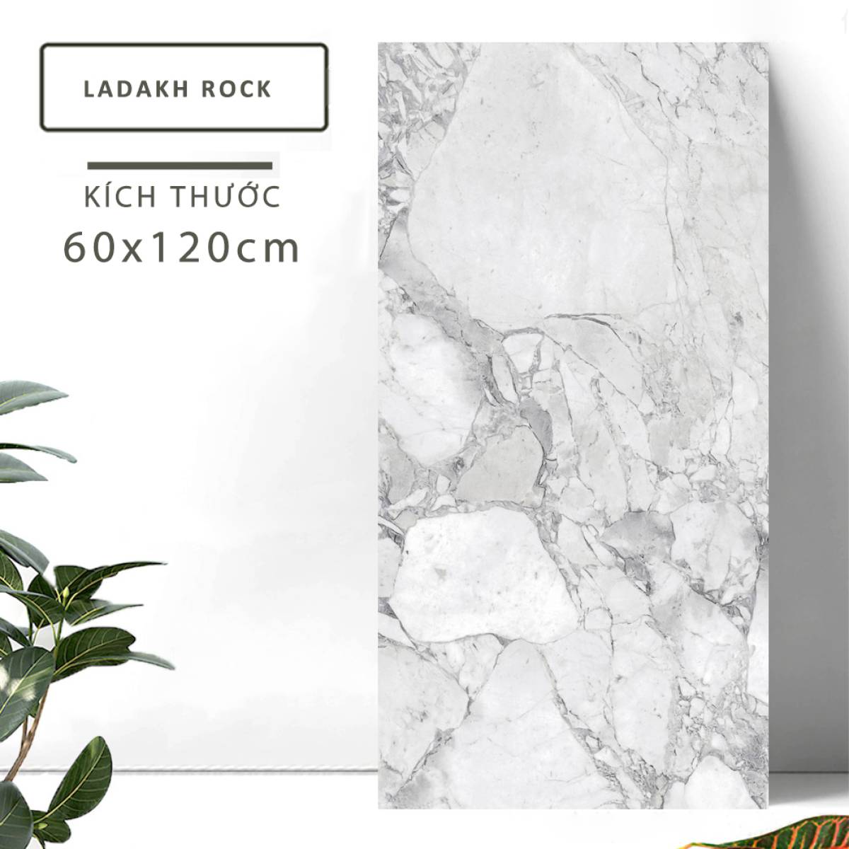 Đặc điểm của Gạch lát nền Ấn Độ men bóng 600x1200mm LADAKH ROCK