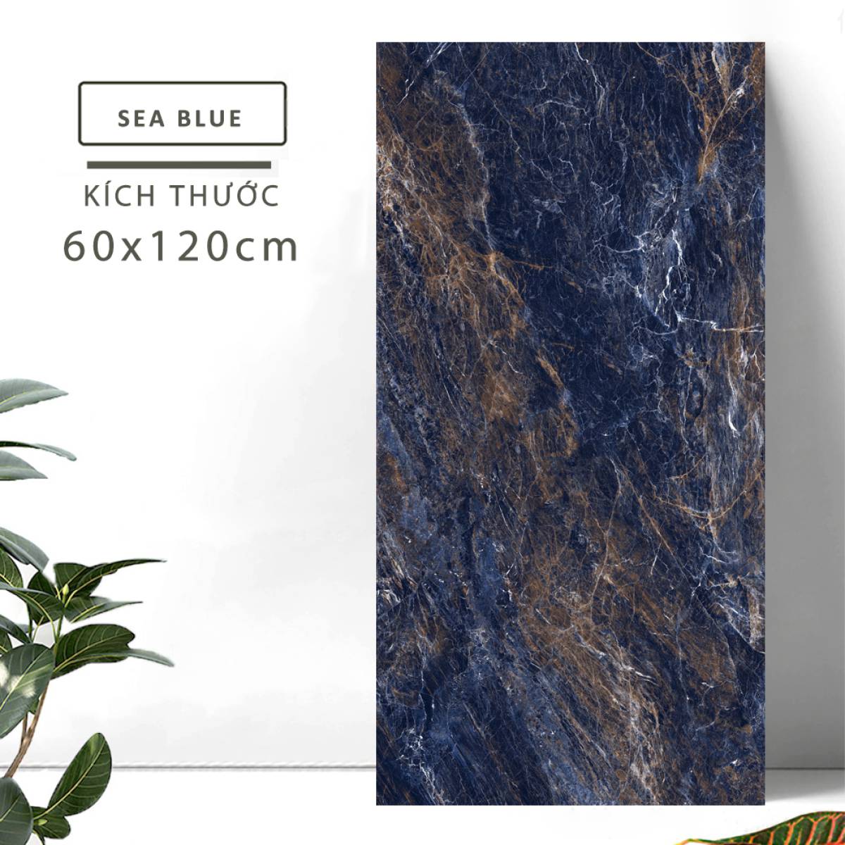 Đặc điểm của Gạch lát nền khổ lớn Ấn Độ men bóng cao 600x1200mm SEA BLUE 