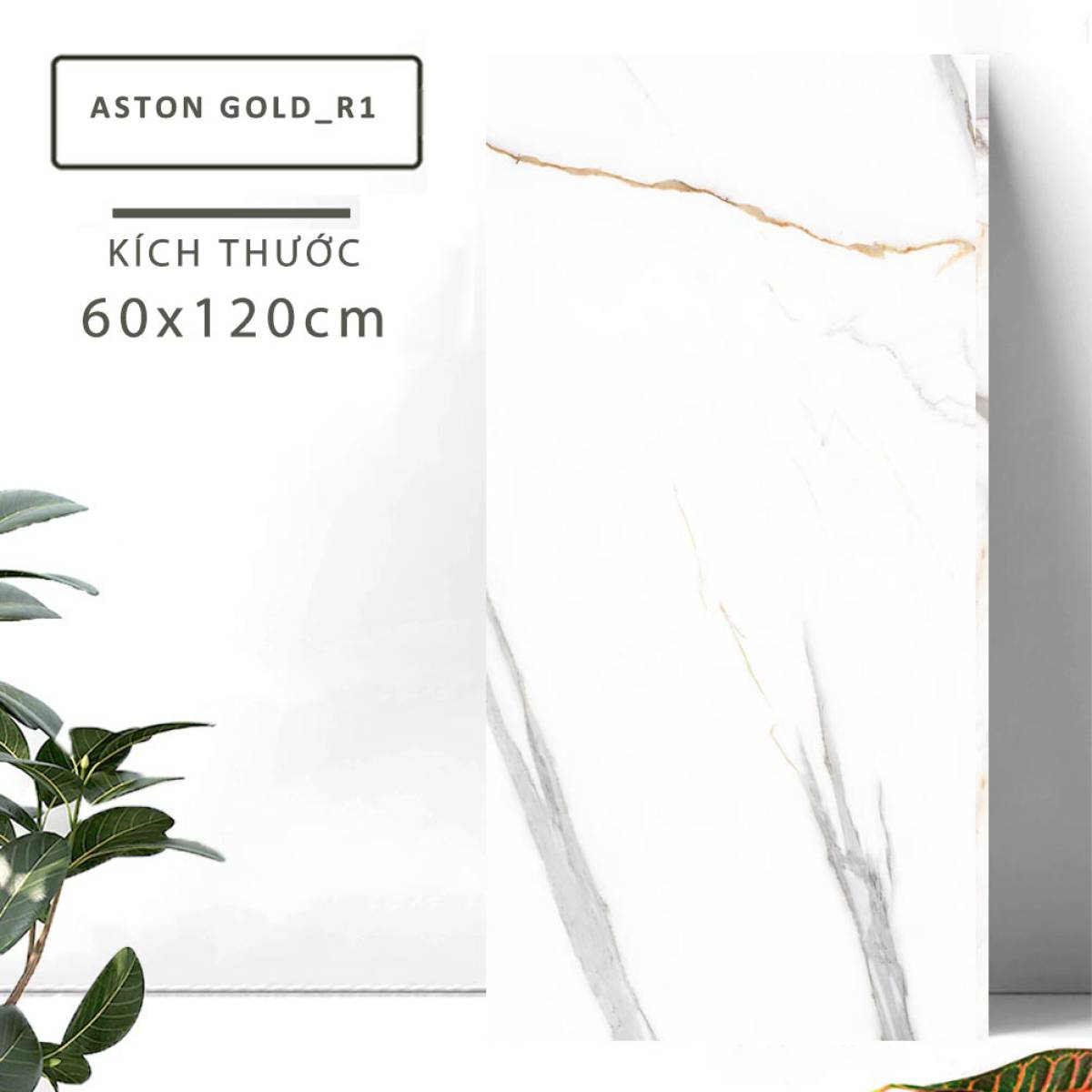 Đặc điểm của Gạch lát nền khổ lớn Ấn Độ men bóng cao 600x1200mm ASTON GOLD_R1 