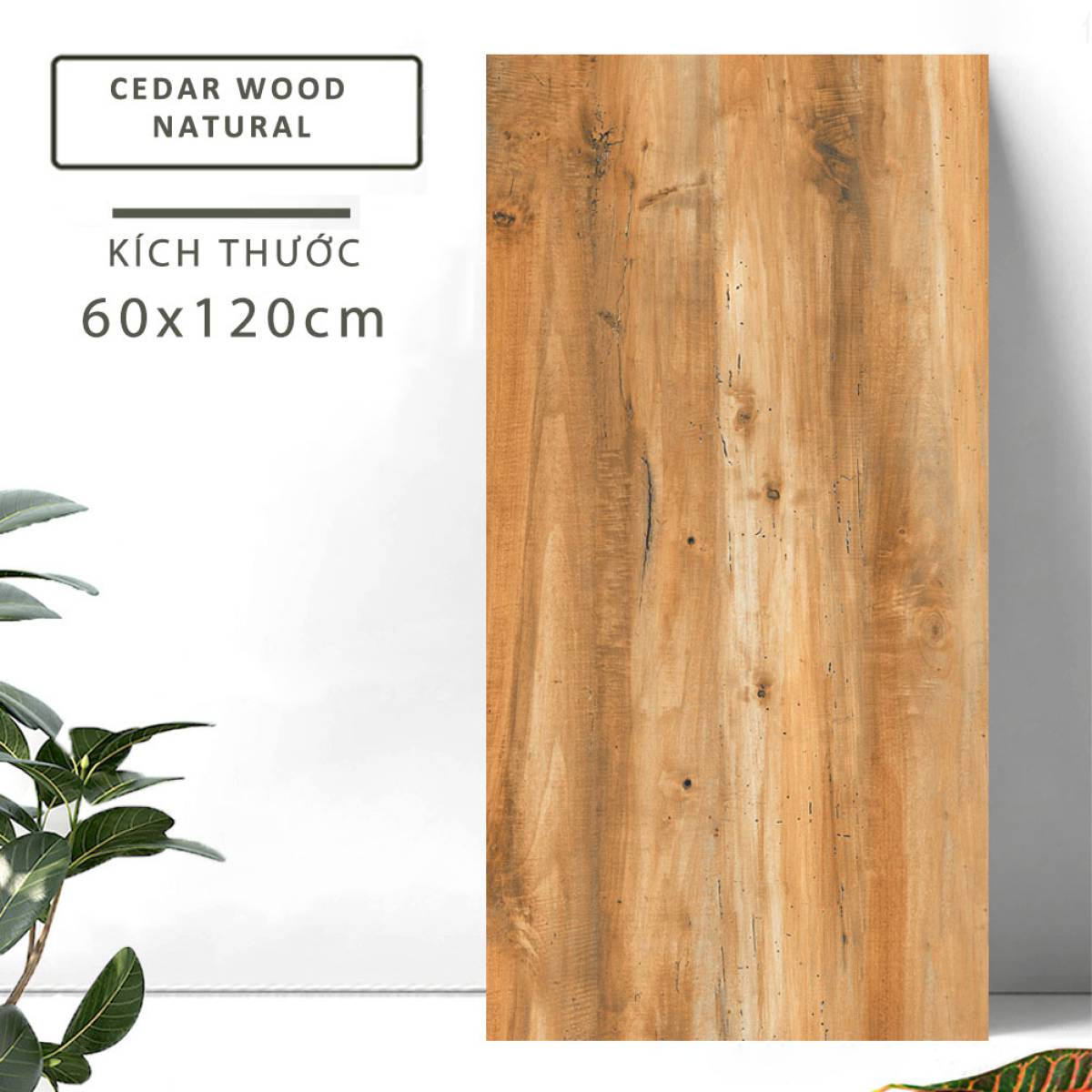 Đặc điểm của Gạch lát nền khổ lớn Ấn Độ giả gỗ 600x1200mm CARRARA VOLGA