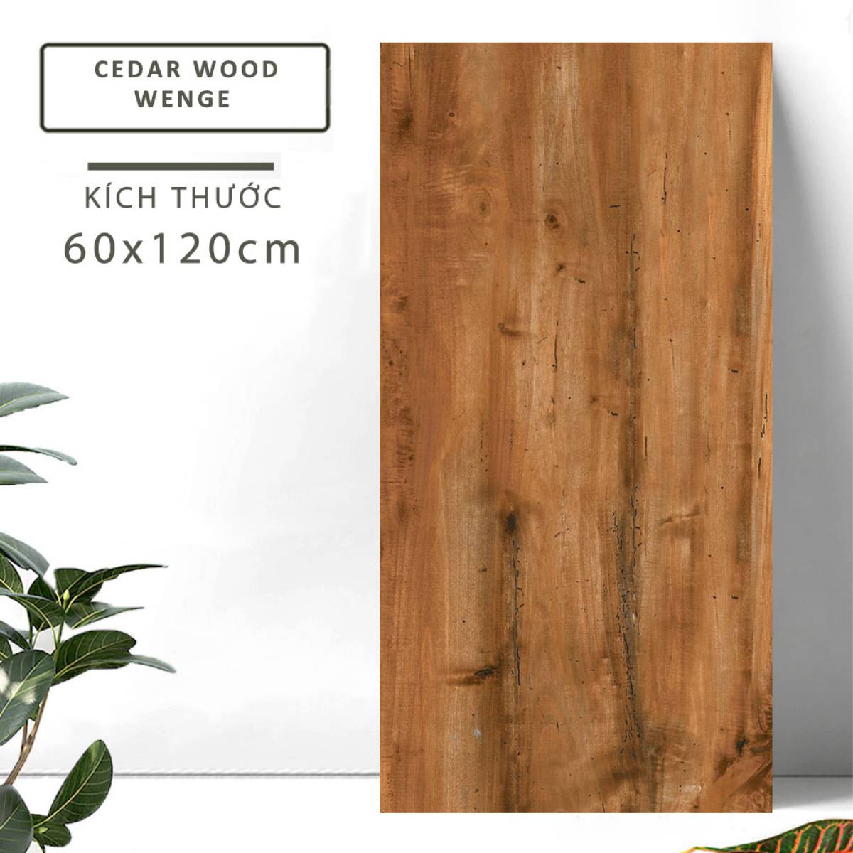 Đặc điểm của Gạch khổ lớn Ấn Độ giả gỗ 600x1200mm CEDAR WOOD WENGE