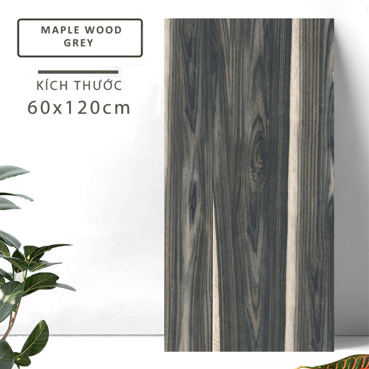 Đặc điểm của Gạch khổ lớn Ấn Độ giả gỗ 600x1200mm MAPLE WOOD GREY