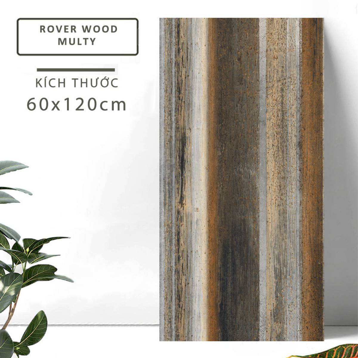 Đặc điểm của Gạch khổ lớn Ấn Độ giả gỗ 600x1200mm ROVER WOOD MULTY