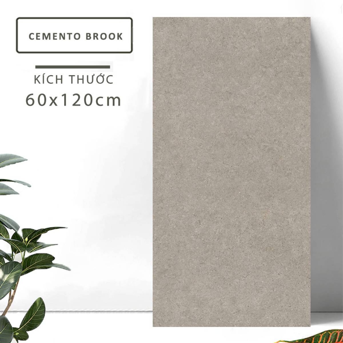 Đặc điểm của Gạch khổ lớn Ấn Độ men Matt 600x1200mm CEMENTO BEIGE