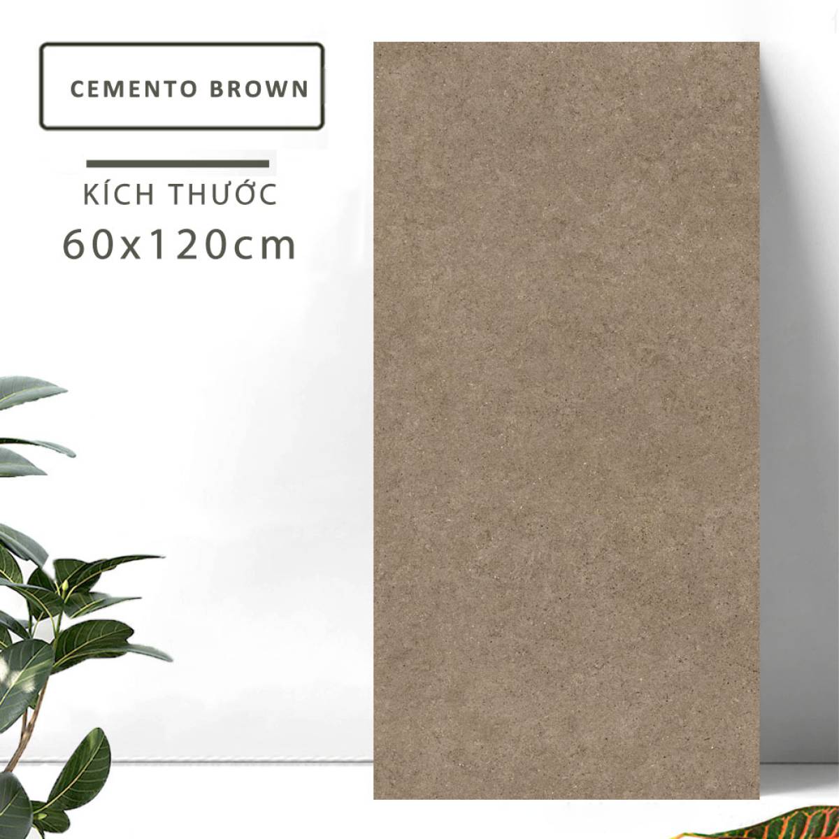 Đặc điểm của Gạch khổ lớn Ấn Độ men Matt 600x1200mm CEMENTO BROWN