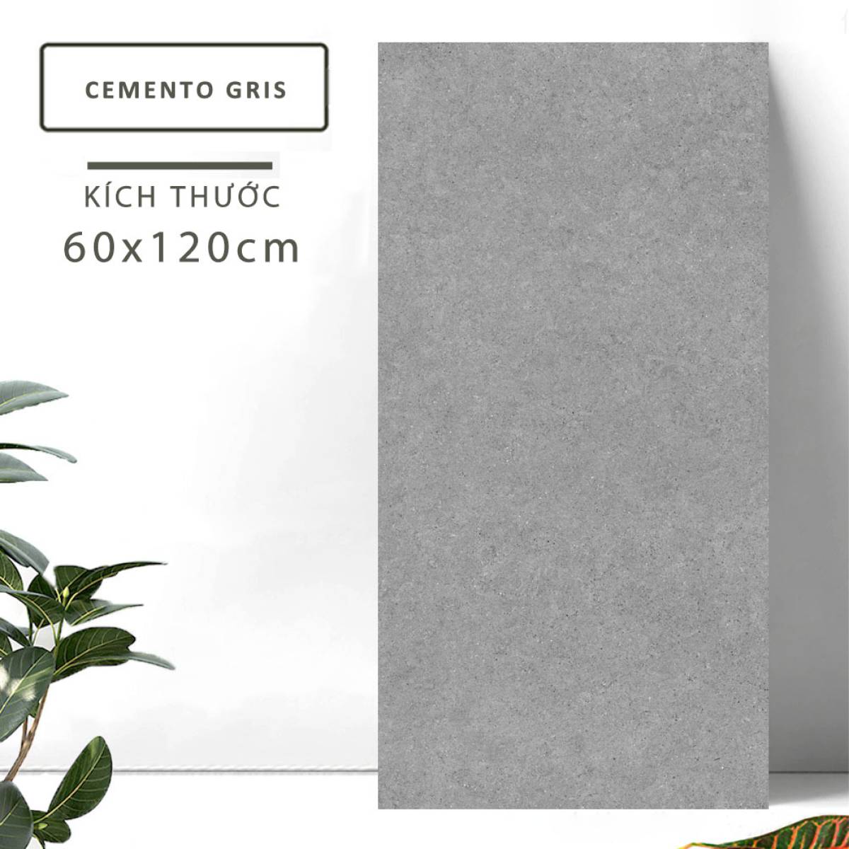 Đặc điểm của Gạch khổ lớn Ấn Độ men Matt 600x1200mm CEMENTO GRIS