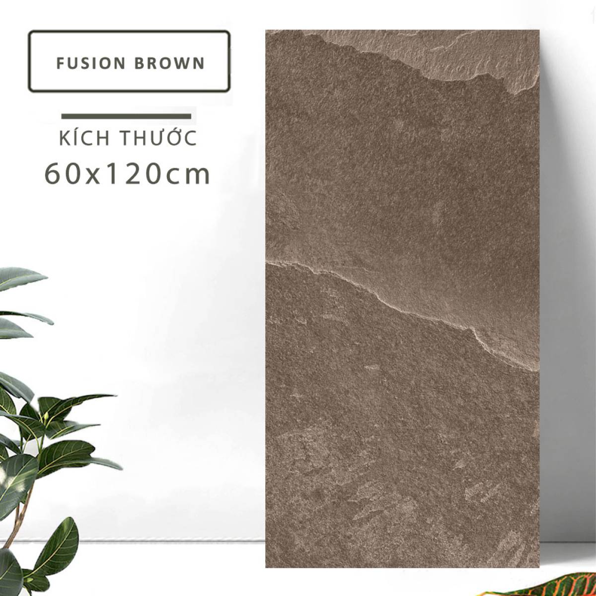 Đặc điểm của Gạch khổ lớn Ấn Độ men Matt 600x1200mm FUSION BROWN