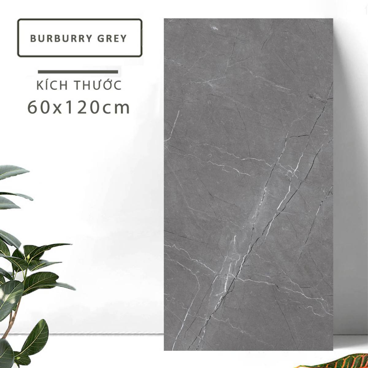 Đặc điểm của Gạch khổ lớn Ấn Độ men Matt 600x1200mm BURBURRY GREY