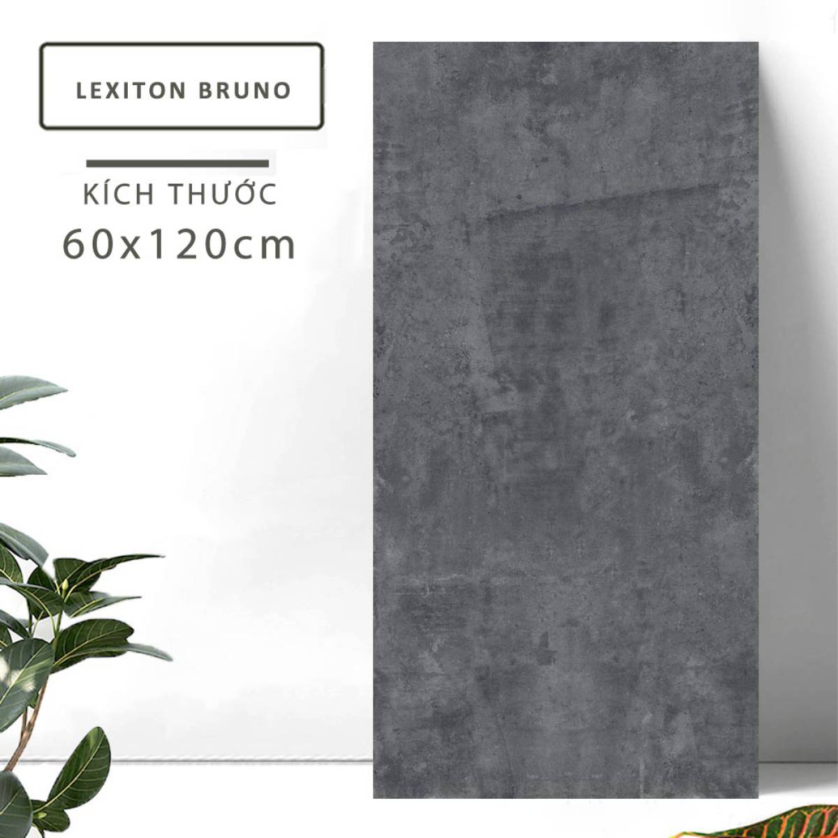 Đặc điểm của Gạch khổ lớn Ấn Độ men Matt 600x1200mm LEXITON BRUNO