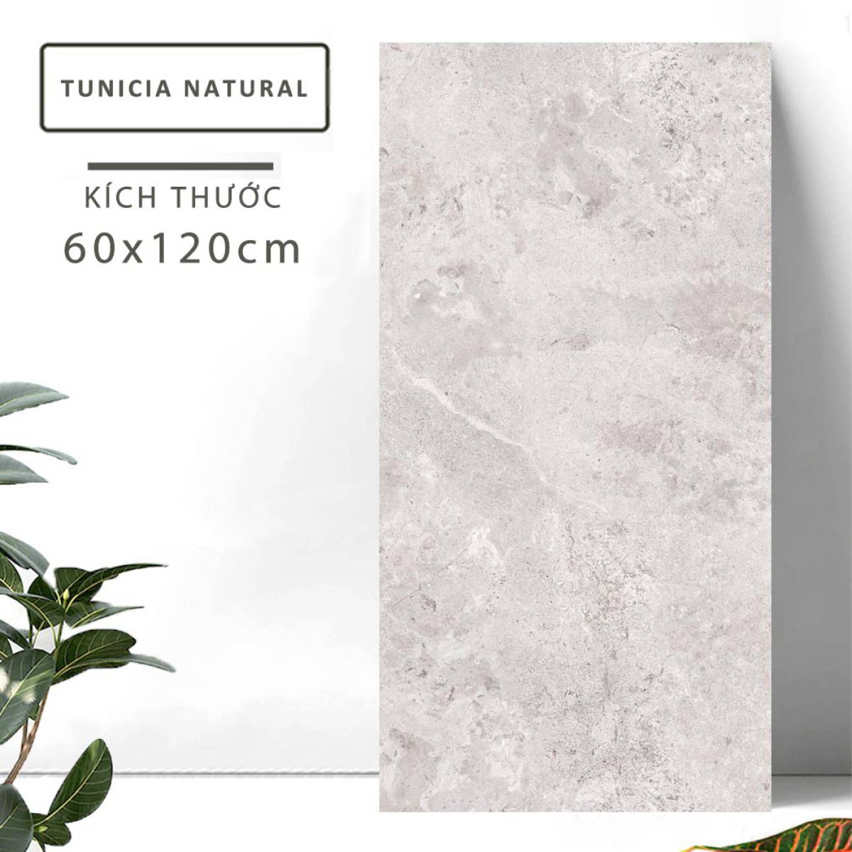 Đặc điểm của Gạch khổ lớn Ấn Độ men Matt 600x1200mm TUNICIA NATURAL